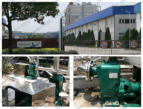 中成泵業赴阿克蘇諾貝爾技術服務